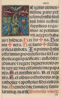 Initial T (Zahltafel) with owl and border decoration of grapes and leaf motifs, print, album page,