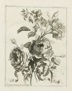 Bound bouquet, Les Petits Bouquets, print, album page, Bound bouquet. Print is part of an album.,