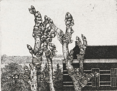 Tree buds, print, Tree buds in the foreground, a house in the background., signature: 'KEES STOOP',