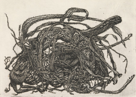 Tangle of branches, print, Tangle of branches., signature: 'KEES STOOP', print maker: Kees Stoop