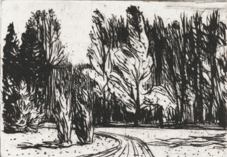 Park, print, Park with a road in the middle that curves to the left around two cypress trees.,