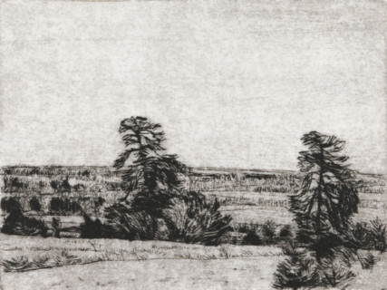 Pine trees on a sandy plain, print, the horizon below the center., signature: 'KEES STOOP',