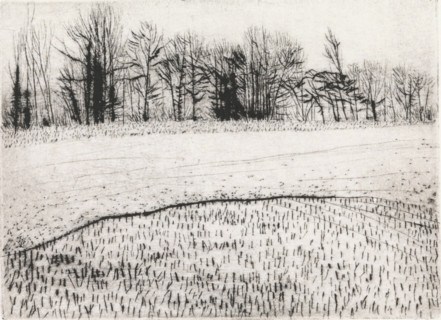 Bare trees, print, Bare trees on the horizon, a lawn in the foreground., signature and date: 'KEES