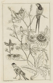 Two birds by flower branches, Chinese women, flowers and birds, print, album page, ornamental