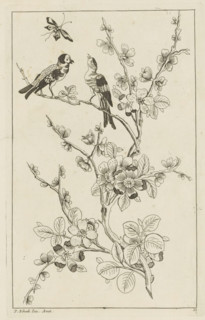 Two birds in a blossoming tree and a butterfly, Chinese women, flowers and birds, print, album