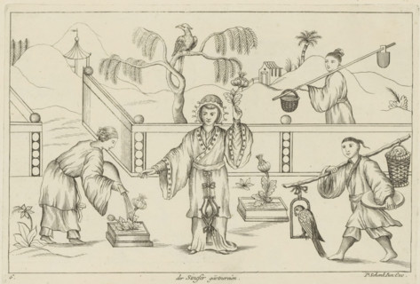 The Chinese Gardening, Chinese Gardeners, Chinese customs, print, album page, ornamental print,