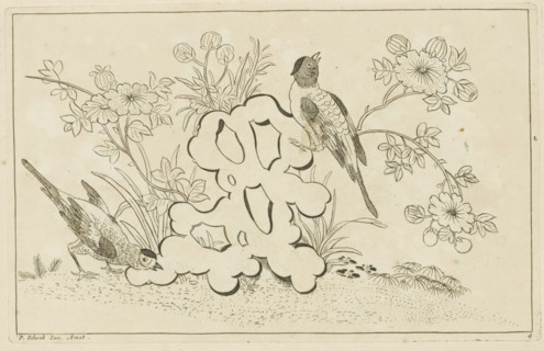 Two birds by a flowering bush, Chinese flowers and birds, print, album page, ornamental print,