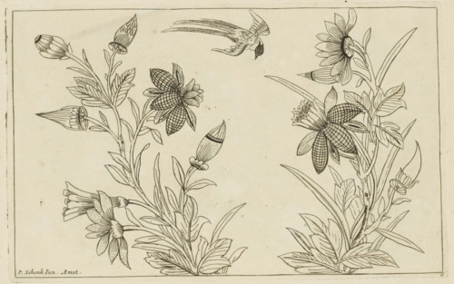 Two flowering bushes and a swallow, Chinese flowers and birds, print, album page, ornamental print,