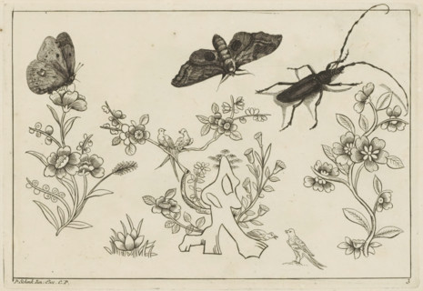 Three flower branches with birds, butterflies and an insect, Chinese flowers and insects, print,
