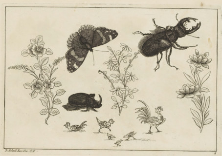 Three flower branches with rhinoceros beetle, butterfly and beetle, Chinese flowers and insects,