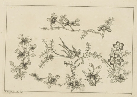 Flower branches with two birds, Chinese flowers and insects, print, album page, ornamental print,