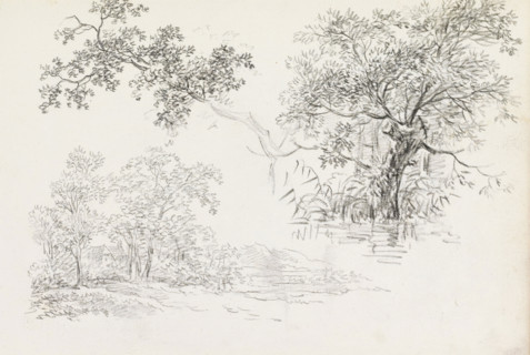 Landscape, branch with leaves and a tree by the waterside, sketchbook page, Page 34 recto from a