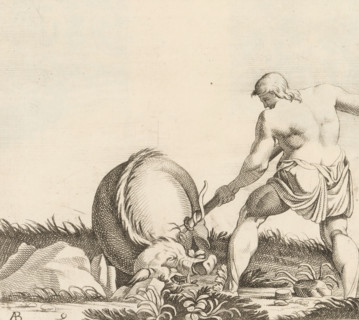 Hercules with the boar of Erymanthus, Galerie des peintures qui sont dans la ball du bal à