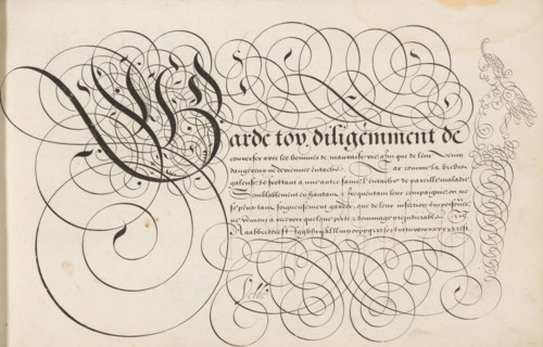 Writing example: Garde toy, Spieghel der schrijfkonste, print, album page, ornamental print,