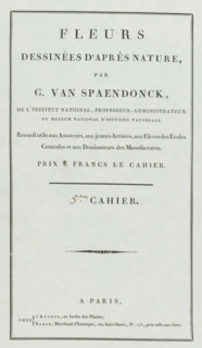 Flowers drawn from nature, 5th Cahier, wrapper, print, Cover for a series of four prints of flowers