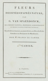 Flowers drawn from nature, 6th Cahier, wrapper, print, Cover for a series of four prints of flowers