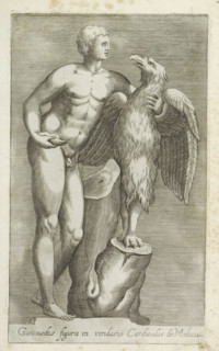 Sculpture of Jupiter as an eagle with Ganymede, Ganimedis figura in viridario Cardinalis de