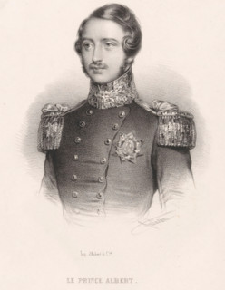 Portrait of Albert, Prince of Saxe-Coburg and Gotha, print, printmaker: Bernard Romain Julien,