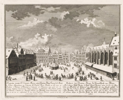 Prospectus montis B. Virginis Mariae, vulgo Fraüen-Berg, Prospect des Fraüen-Bergs zu Franckfurth,