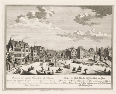 Prospectus fori equini Francofurti ad Moenum, Prospect des Hofs-Marckts zü Frankfurth am Maïn, View