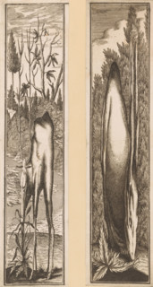 Anamorphosis of a grazing deer, Anamorphoses of various animals, print, number: '23', inscription: