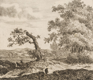 Walker in the dunes outside Haarlem, print, printmaker: Anthonie van den Bos, 1778 - 1838, paper,