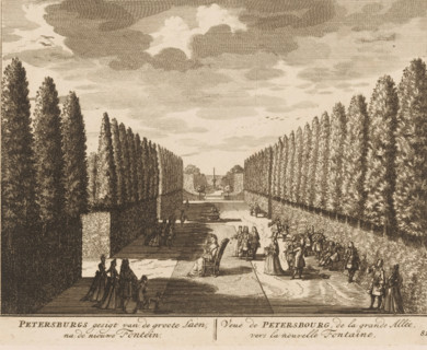 Petersburg's view of the large lane towards the new fountain, View of Petersbourg, from the large