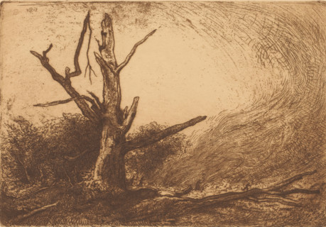 Forest fire in the Forêt de Fontainebleau, print, In the foreground a bare, dead tree. In the