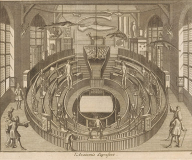 L'Anatomie d'apresent, Het Theatrum Anatomicum te Leiden seen from the inside, print, book