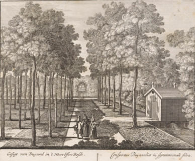 View of Duynrel in the northern ash forest, Conspectus Duynreliae in septentrionali silva, View of