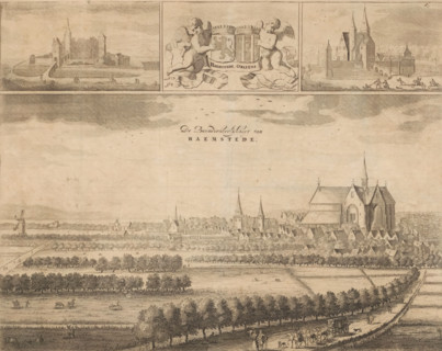 The Baenderheerlykheyt van Haemstede, View of Haamstede, print, book illustration, View of the