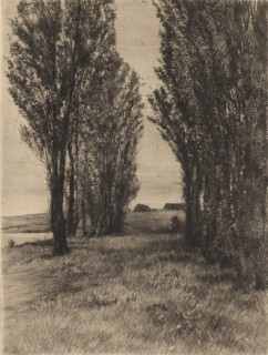 Meadow landscape with poplars, print, printmaker: Peter von Halm, 1896, paper, drypoint, intaglio
