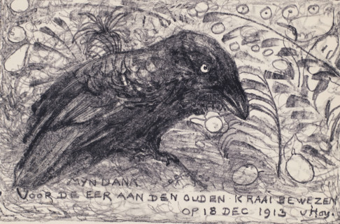 Crow, print, A crow with the text 'My thanks for the honor shown to the old crow on Dec 18, 1913'