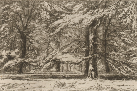 In the park of Groeneveld Castle (original title), Trees on the Groeneveld Castle estate, The