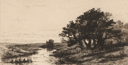 Landscape with oak trees near Wolfheze, Vieux chênes à Wolfhezen (original title), Sketches of