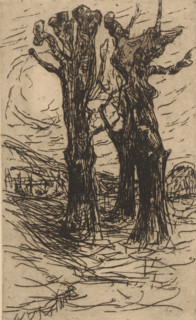 Chestnut trees (original title), print, printmaker: Floris Verster, 1890, paper, etching, intaglio