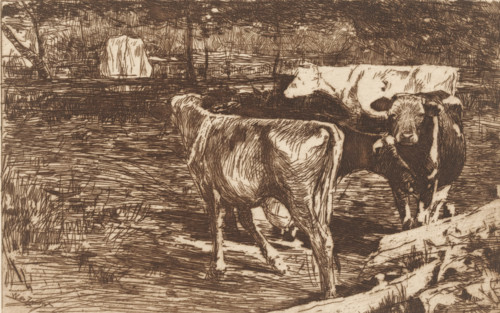 Milk bend (original title), Four cows in a meadow, print, printmaker: Willem de Zwart, c. 1885,