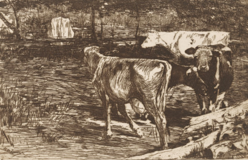 Four cows in a meadow, Melkbocht (original title), print, printmaker: Willem de Zwart, c. 1885,