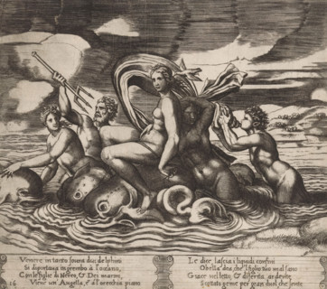 Venus receives news from a bird, Story of Cupid and Psyche, print, Series number, 16, 32, A bird