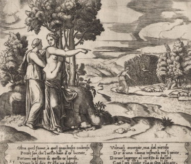 Psyche goes to look for the golden wool, Story of Amor and Psyche, print, Series number, 23, 32,