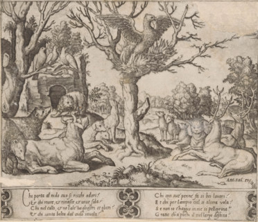 Phoenix, print, A self-immolating phoenix in a tree, surrounded by other animals including bears,