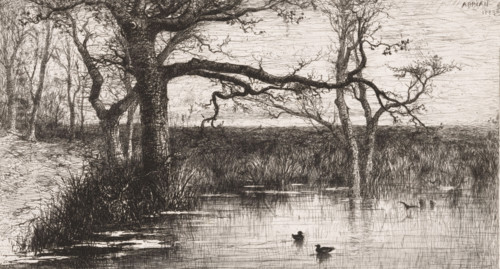 Ducks in a pond at the edge of a forest, print, printmaker: Jacques Barthélemy Appian (Adolphe)