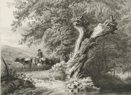Landscape with bare tree and shepherd, print, Left a shepherd with cows, right a bare tree by the
