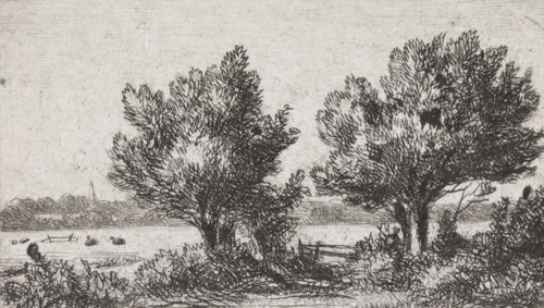 Trees in a meadow landscape, print, printmaker: Jacob Jan van der Maaten, The Hague, 1851, paper,