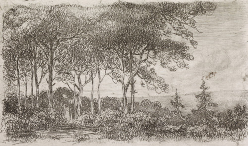 Woman by a row of trees, print, A wooded landscape with a woman with a basket on her back in the