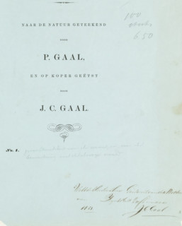 Cover for: Collection of studies. Drawn from nature by P. Gaal, and etched on copper by JC Gaal,