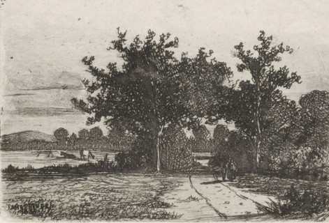 Country road, print, printmaker: Jan Heppener, The Hague, c. 1841 - 1898, paper, chine collé,