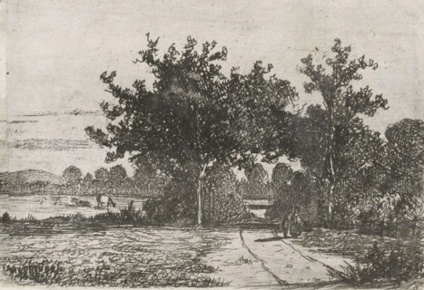 Country road, print, printmaker: Jan Heppener, The Hague, c. 1841 - 1898, paper, chine collé,