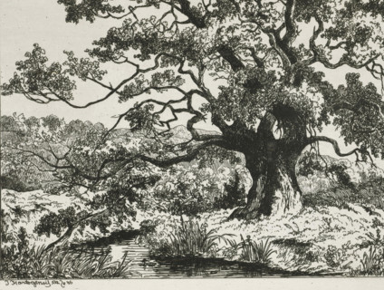 Landscape in Wolfheze, print, printmaker: Joseph Hartogensis, The Hague, 1856, paper, chine collé,