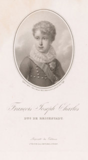 Portrait of Napoleon Frans Karel Jozef Bonaparte, print, printmaker: David Weiss, Vienna, after
